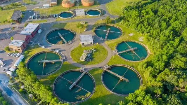 rozwój technologii bioreaktora